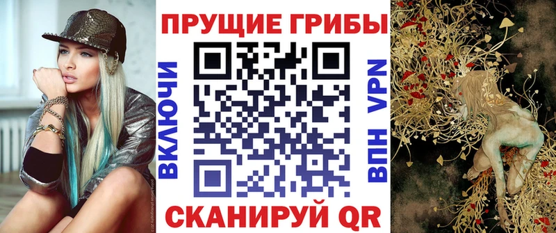 MEGA как зайти  Задонск  Псилоцибиновые грибы мицелий 